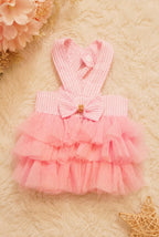Ballet Blush Tulle Dress