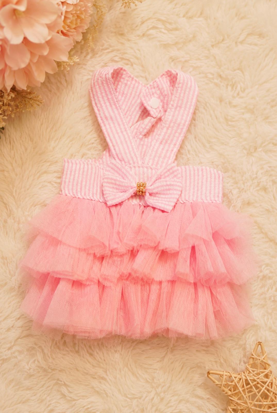 Ballet Blush Tulle Dress