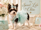 Mint to Be Couture