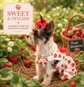 Strawberry Fields Dress